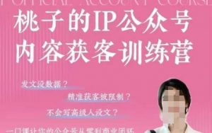 桃子IP公众号内容获客训练营(第3期)，一门让你公众号从0到商业闭环的课程-壹浩聊项目