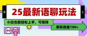25年最新语聊玩法，纯手工，单机收益100+，小白也能轻松上手，可矩阵操作-壹浩聊项目