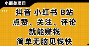 小而美的项目，抖音小红书B站视频点赞、关注、评论就能挣钱，简单无脑立见收益，妥妥的零撸项目【揭秘】-壹浩聊项目