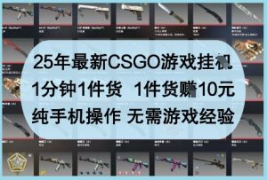 25年最新CSGO游戏挂G，1分钟1件货，1件货挣10元，纯手机操作，无需游戏经验【揭秘】-壹浩聊项目