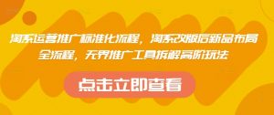 淘系运营推广标准化流程，​淘系改版后新品布局全流程，无界推广工具拆解高阶玩法-壹浩聊项目