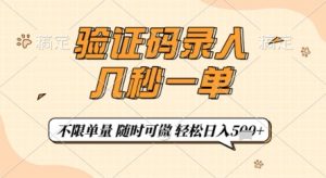 验证码录入,几秒钟一单,只需一部手机即可开始,随时随地可做,每天5张+【揭秘】-壹浩聊项目