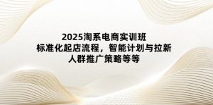 2025淘系电商实训班:标准化起店流程,智能计划与拉新,人群推广策略等等-壹浩聊项目