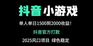 抖音官方小游戏2025全网最新玩法，暴利赚钱项目，单机日入2000+-壹浩聊项目