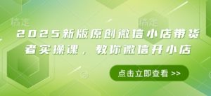2025新版原创微信小店带货者实操课，教你微信开小店-壹浩聊项目