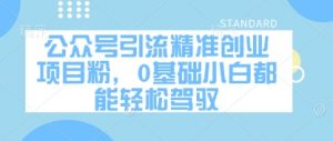 公众号引流精准创业项目粉，0基础小白都能轻松驾驭-壹浩聊项目