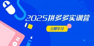2025拼多多实训营:深度剖析运营关键,助力电商人快速提升-壹浩聊项目