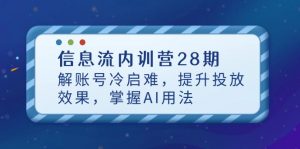 信息流内训营28期,解账号冷启难,提升投放效果,掌握AI用法-壹浩聊项目