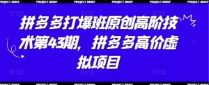 拼多多打爆班原创高阶技术第43期,拼多多高价虚拟项目-壹浩聊项目