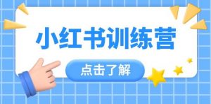 小红书训练营，助小白入门，掌握技巧变达人，课程实操又全面(12节课)-壹浩聊项目