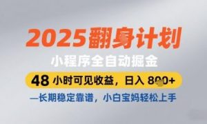 2025小程序全自动掘金,48 小时可见收益,日入8张,长期稳定靠谱,小白宝妈轻松上手【揭秘】-壹浩聊项目