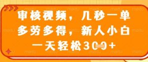 视频审核员，几秒一单，不限时间，不限地点，多做多得，新人小白一天轻松几张+【揭秘】-壹浩聊项目