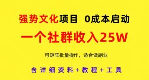 强势文化项目，一个社群收入25个W，0成本启动，可矩阵批量操作，原创详细实操教程-壹浩聊项目