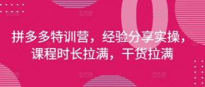 拼多多特训营,经验分享实操,课程时长拉满,干货拉满(更新25年4月)-壹浩聊项目