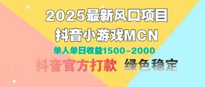 2025最新风口项目 抖音小游戏MCN 单人单日收益1500-2000+-壹浩聊项目