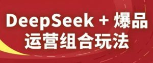 DeepSeek+爆品运营组合玩法，2025淘系精品课-壹浩聊项目