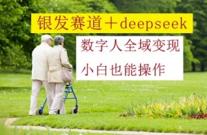 银发赛道+deepseek数字人全域变现,小白也能操作-壹浩聊项目