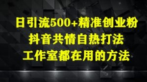 日引流500+精准创业粉，抖音共情自热打法，工作室都在用的方法-壹浩聊项目