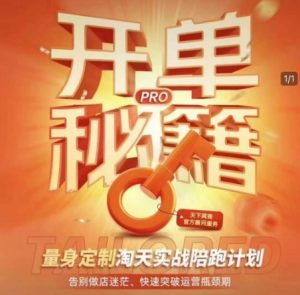 淘宝开单秘籍PRO,量身定制淘天实战陪跑计划,告别做店迷茫、快速突破运营瓶颈期(更新)-壹浩聊项目