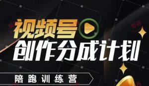 视频号创作分成计划陪跑训练营,手把手教会你如何制作视频,细水长流型项目-壹浩聊项目