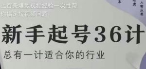 新手起号36计2.0,四年行业沉淀,上百条爆款视频经验一次性帮你搞定短视频问题-壹浩聊项目