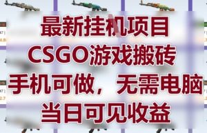 最新挂G项目，CSGO游戏搬砖，手机可做，无需电脑，当日见收益【揭秘】-壹浩聊项目