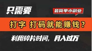 只需要打字，打码，就能赚钱？简单的赚钱小副业，利用碎片时间，月入过万-壹浩聊项目