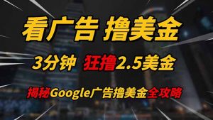 看广告，撸美金！！3分钟赚2.5美金！！日入200美金不是梦！揭秘Google…-壹浩聊项目