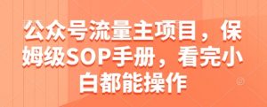 公众号流量主项目,保姆级SOP手册,看完小白都能操作-壹浩聊项目