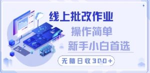 线上批改作业，操作简单新手小白首选，无脑日收300+【揭秘】-壹浩聊项目