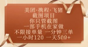 飞猪美团截图项目，你只管截图，一部手机在家做，正规平台无套路，一天5张+【揭秘】-壹浩聊项目