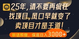 什么？25年你还在疯狂找项目做，醒醒吧，看完这些你全都懂了【揭秘】-壹浩聊项目
