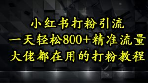 小红书打粉引流,一天轻松500+精准流量,大佬都在用的打粉教程-壹浩聊项目