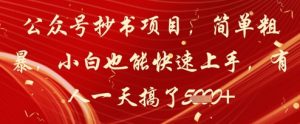 公众号抄书项目,简单粗暴,小白也能快速上手,有人一天搞了1k+-壹浩聊项目
