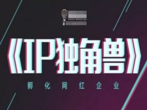 IP独角兽，孵化网红企业，ip教程-壹浩聊项目