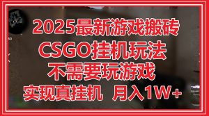2025最新游戏搬砖，CSGO挂机，不需要玩游戏，实现真挂机，月入1W+-壹浩聊项目