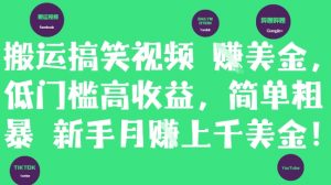 搬运搞笑视频挣美金,低门槛高收益,简单粗暴新手月入上千美刀-壹浩聊项目