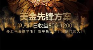 免费技术！小众赛道！一年布局抵三年努力，每日800+-壹浩聊项目