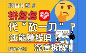 【2025最新】拼多多代坎助力项目深度拆解：还能挣钱吗?全流程玩法-壹浩聊项目