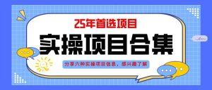 (14767期)2025年实操六大项目实操演练,挂机类型,AI直播类型,轻资产创业类型,…-壹浩聊项目