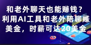 和老外聊天也能挣钱?利用AI工具和老外陪聊挣美金,时薪可达20刀-壹浩聊项目