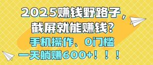 2025赚钱野路子，截屏就能赚钱？手机操作0门槛，一天躺赚600+！！！-壹浩聊项目