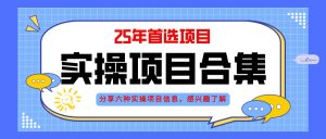 2025年实操六大项目实操演练，挂机类型，AI直播类型，轻资产创业类型，…-壹浩聊项目