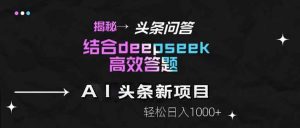 揭秘头条问答新玩法！结合deepseek高效答题，轻松日入1000+-壹浩聊项目