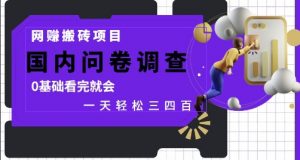 网创搬砖项目，国内问卷调查，0基础看完就会 一天轻松三四张，靠谱副业干就完了【揭秘】-壹浩聊项目