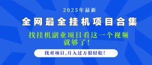 2025最全挂机项目合集 找项目看这一个视频就够了，做对项目月入过万很…-壹浩聊项目
