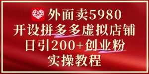 外面卖5980开设拼多多虚拟店铺:单日引流200+创业付费粉实战教程-壹浩聊项目