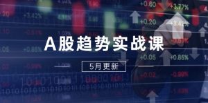 A股趋势实战课：主力动向+政策红利，2025全年策略5月更新-壹浩聊项目