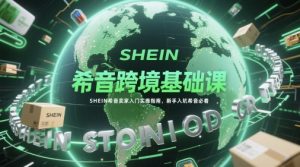 希音跨境基础课,SHEIN希音卖家入门实操指南,新手入坑希音必看-壹浩聊项目