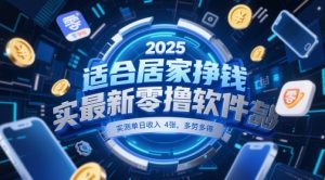 适合居家挣钱2025最新零撸软件，实测单日收入4张，多劳多得 一部手机即可操作【揭秘】-壹浩聊项目